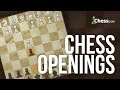 Chess Openings: How to Play the Benko Gambit