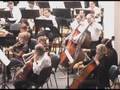 Ionut Podgoreanu - Gliere´s Horn Concerto (Part 2)