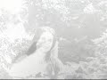 Arlo Guthrie with Shenandoah - Drowning Man