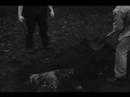 Mr. Tahr - Zand Erover