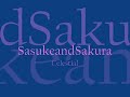 SasukeandSakura Celestial
