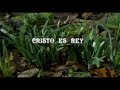 te alabamos   roberto orellana