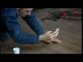 Making of the Honda Cog
