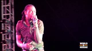 Click to View : Tydal Live @ Rebel Salute Festival 2013 - Masterone Productions artist