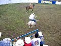 JaRiPeO ZoThE HiDaLgO