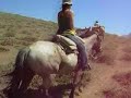 Cabalgata Valle Rio Olivares, CHILE