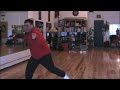 xingyiquan Five