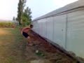 Greenhousemans seraya uçan adam