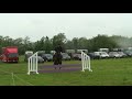 Friary RC - Unicorn Showjumping League 07 - Declan Cullagh 1 Friary RC - Unicorn Showjumping League 07 - Declan Cullagh 1