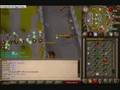 Globe505 99 woodcutting party!