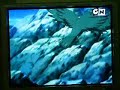 ??HIT! crash b-daman36-part1 ??HIT! crash b-daman36-part1