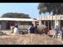 colegio sunampe chincha