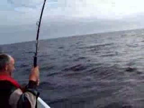 sharking off youghal