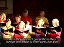 Lake, from Lifetime: A Science Oratorio