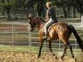 Crewman Work Out 6-7-08