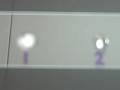videos de Catalase Test