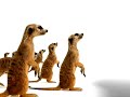 TELUS Commercial \"Epic\"