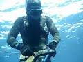 Spearfishing Georgalis