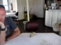 Shithead at 9am
