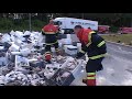 Nu g�r der fisk i den. Vejlevej ved Riss.