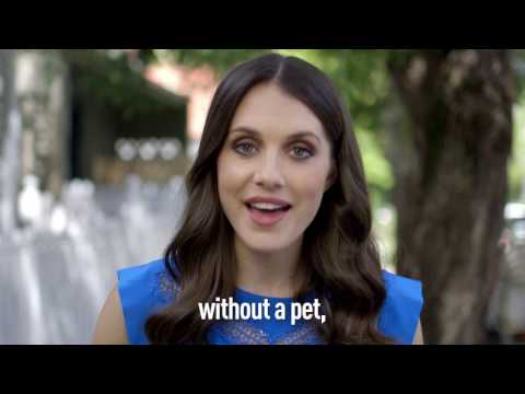 PET FRIENDLY RENTAL ETIQUETTE PET FRIENDLY RENTAL ETIQUETTE