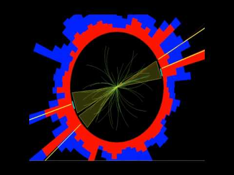 Large Hadron Collider Fill 1639 in CMS 20 march 2011