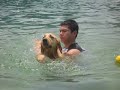 Dino the Golden Retriever takes you to Go Go Water World - Day One Dino the Golden Retriever takes you to Go Go Water World - Day One