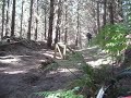 Whitford Bike Park