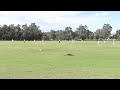 Search Video