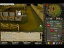 haachi server