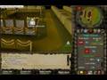 haachi server