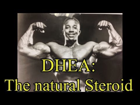 how to use dhea properly for bodybuilding