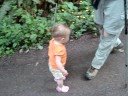 Eva Grace and The Wildwood Trail