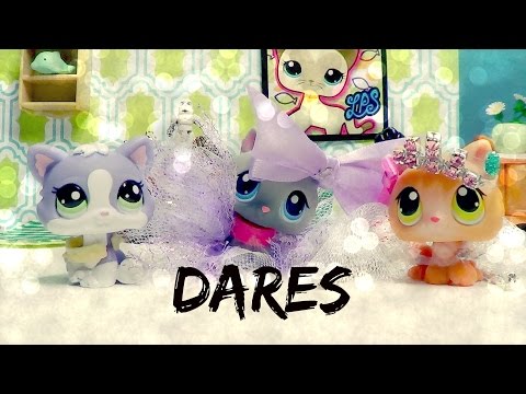pet - Last episode the kittens asked for you to give them dares. Watch as they go completely out of their comfort zone! xoxo, Trissy, Danny, and Jack. The shout out goes to ashlynnlpstv on Instagram....