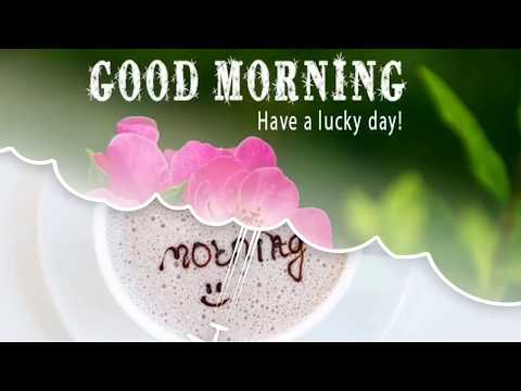 have a lucky day