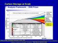 The World Market for Coal: What's going on the C of RE less than C?