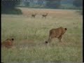 ECO-TOURISM 3