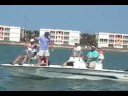Florida Jew Fish Fishing Florida Jew Fish Fishing