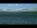 clip video Immortal Antarctica