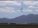 RNZAF Red Checkers at Walsh 2008