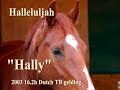 Hally pregreen video
