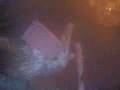 videos de Miss you so much