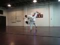 Houston JuJutsu Sample Throws