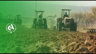 Agriculture: début de la campagne labours semaille à Tiaret