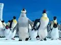 Armenian Happy Feet