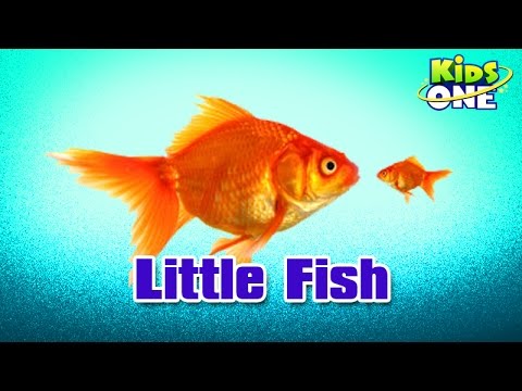 hindi animated rhymes, nursery, high quality kids, songs, age upto 5, learning, kidsone, cartoon, moon, kites, gudia, koyal, quality, culture, childrens, nursery primary teaching, cat, machili, telephone, toys, maya, poem, bunder, monkey, flowers, horse, fish, crow, snake, tortoise, telugu, stories