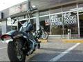 Harley Sound 1999FXST ハーレー3拍子