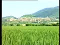 Giotto in Assisi