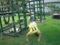 Jason Gets Catapulted