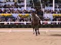 Galant Du Serein Dressage at Devon 2006